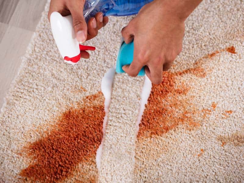 Carpet Cleaning Services - Rosangelas Cleaning