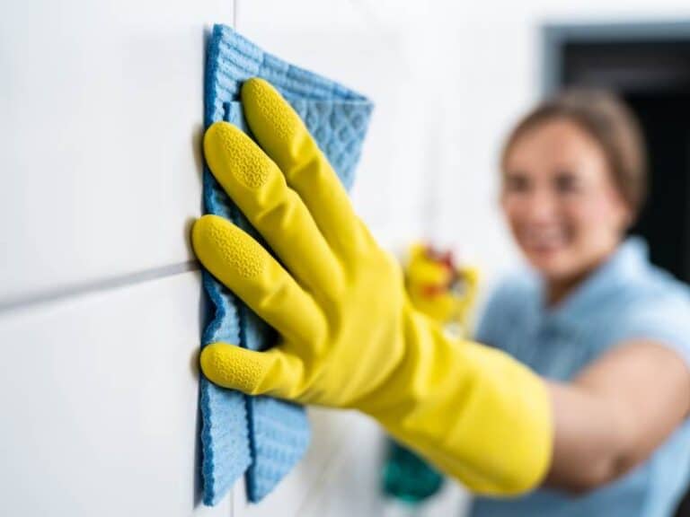 Organizational Cleaning Blog Services - Rosangelas Cleaning Services