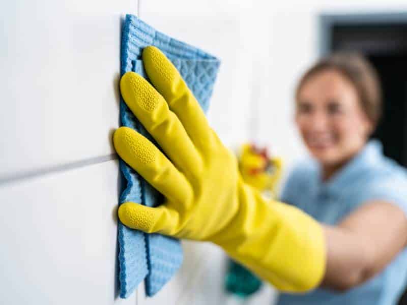 Organizational Cleaning Blog Services - Rosangelas Cleaning Services