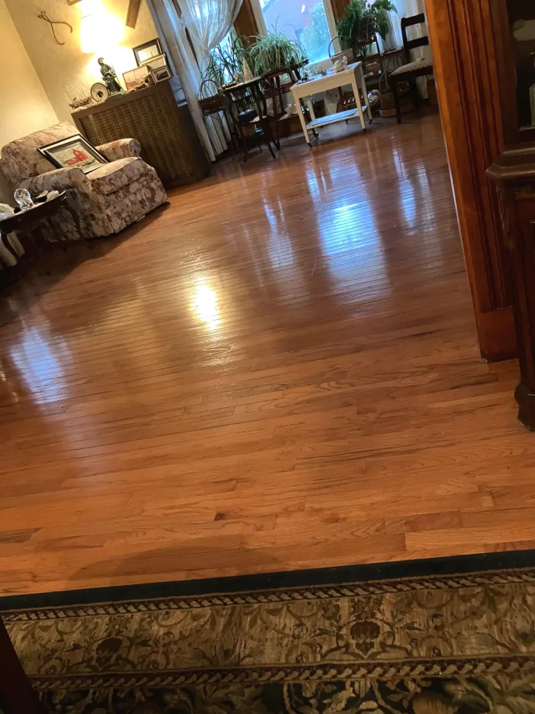 Dusting The Floor After Cleaning