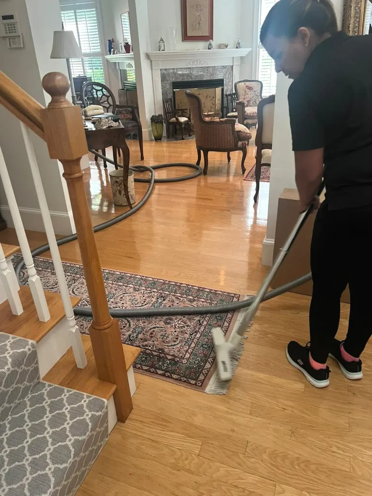 Professional House Cleaning And Commercial Cleaning Services - Summer Deep Cleaning