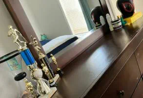 Cleaners for Residential Cleaning Service - Furniture