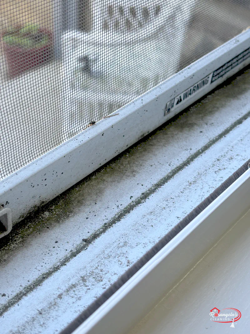 When Regular Cleaning Is No Longer Enough